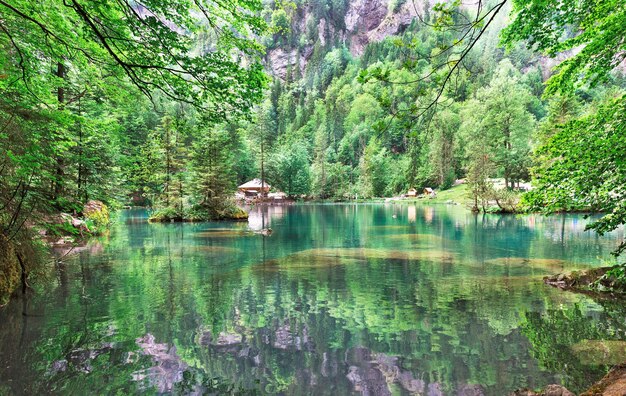 Beau lac Blausee