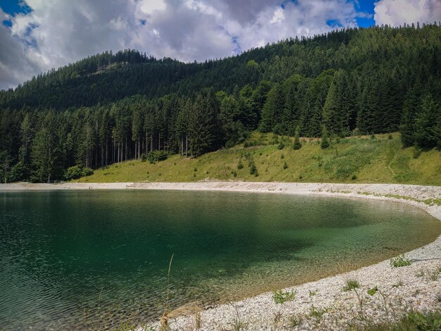 Photo beau lac à côté de la forêt