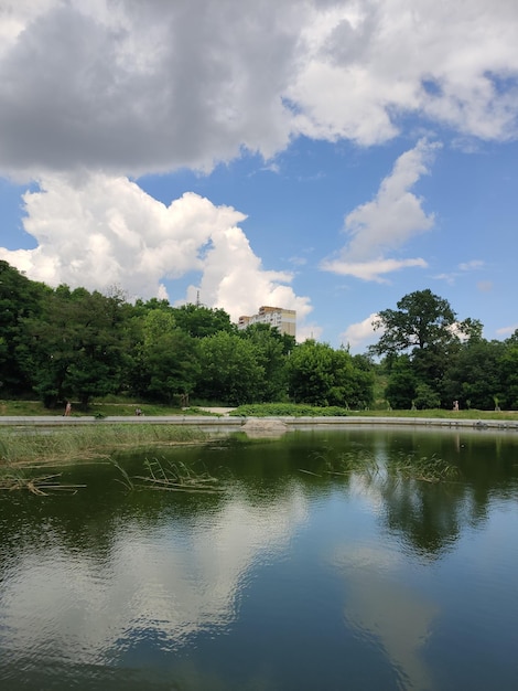 Beau lac dans la forêt d'été