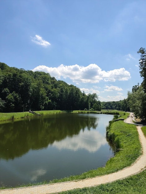 Beau lac dans la forêt d'été