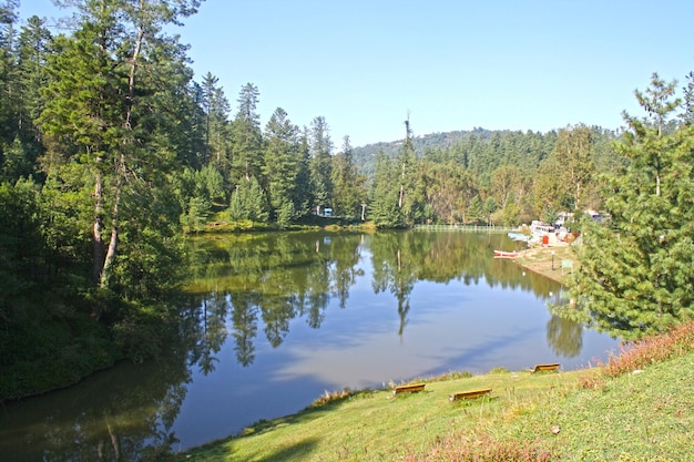 Beau lac dans la forêt