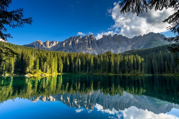 Un beau lac dans la forêt