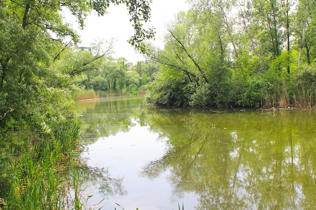 Beau lac en été