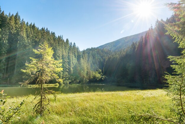 Beau lac forestier dans les montagnes avec eau bleue, lumière du matin et soleil brillant