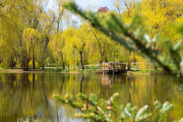 Beau lac et forêt d'automne Saison Abstrait naturel Les silhouettes floues de nombreuses feuilles d'arbres verts d'automne se reflètent sur la surface paisible du lac de la rivière ou de l'étang de la flaque d'eau Mise au point sélective