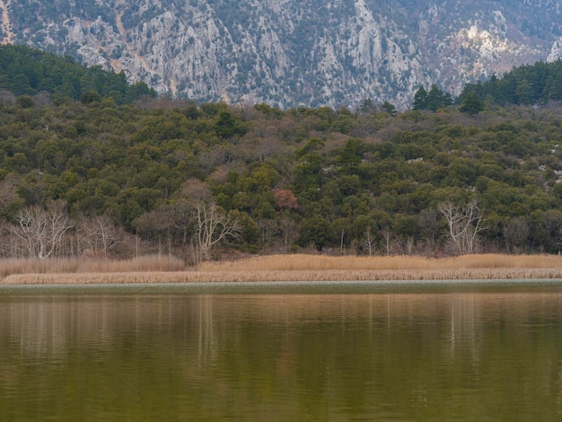 Beau lac et forêt en automne