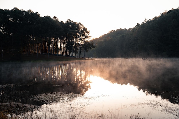 Beau lac naturel et forêt le matin Pang Ung Mae Hong Son Thaïlande