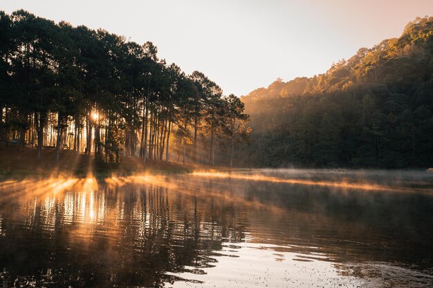 Beau lac naturel et forêt le matin Pang Ung Mae Hong Son Thaïlande