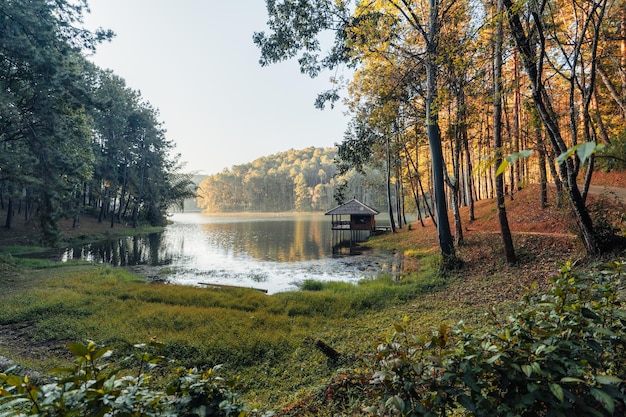 Beau lac naturel et forêt le matin Pang Ung Mae Hong Son Thaïlande