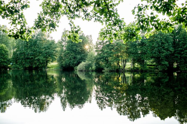 Beau Lac De Pêche Au Lever Du Soleil Avec Des Arbres