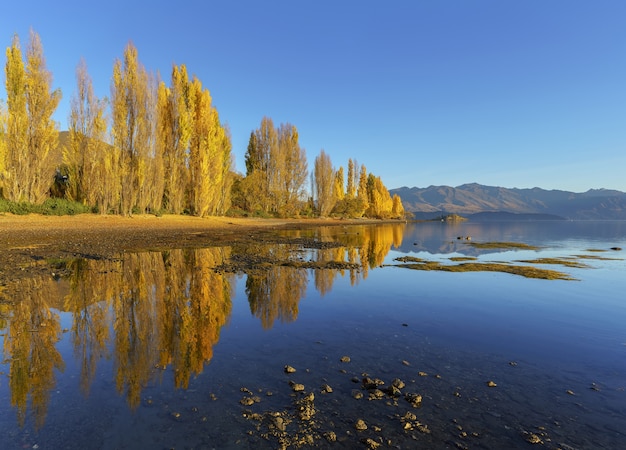 Beau lac Wanaka avec reflet le matin en automne, Wanaka, île du sud de la Nouvelle-Zélande