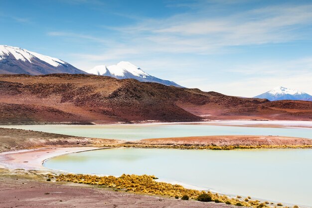 Beau lagon et volcan sur le plateau Altiplano, Bolivie