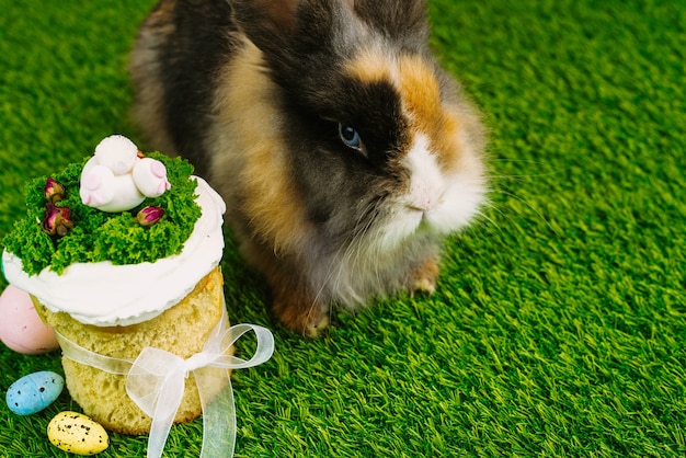 Un beau lapin pelucheux se trouve sur l'herbe verte à côté des oeufs peints et des gâteaux de Pâques