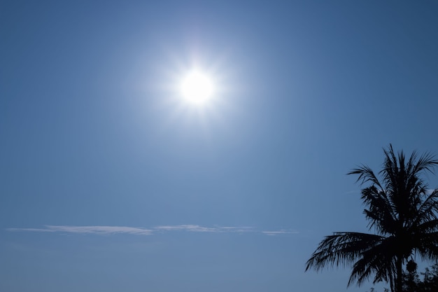 Beau lever de soleil brille dans le ciel bleu avec des nuages ​​et des ombres sombres des palmiers.