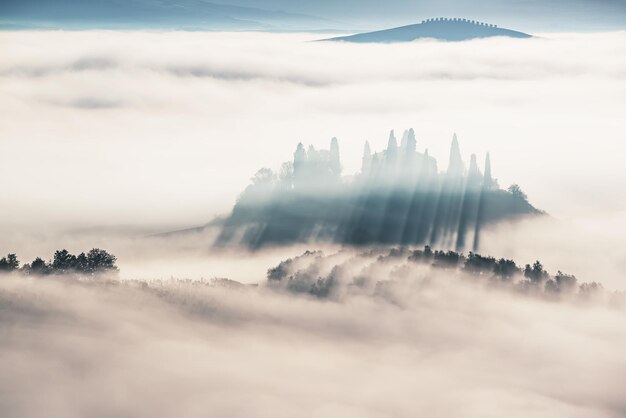 Beau lever de soleil brumeux en Toscane, Italie avec vignoble et arbres. Fond brumeux naturel