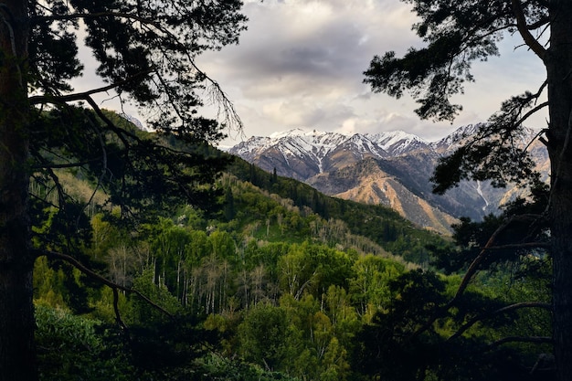 beau lever de soleil dans les montagnes