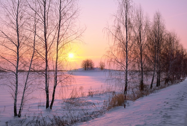 Beau lever de soleil d'hiver