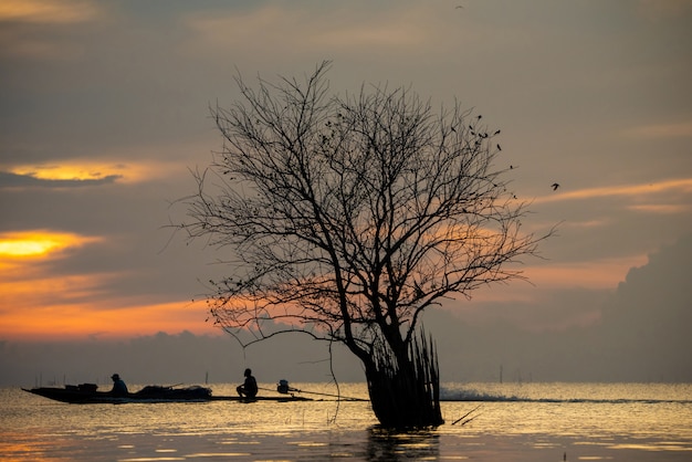 beau lever de soleil sur un lac avec un arbre