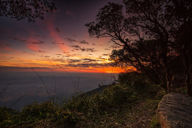 Beau Lever De Soleil Sur La Réserve Faunique De Phu Luang, Province De Loei, Thaïlande.