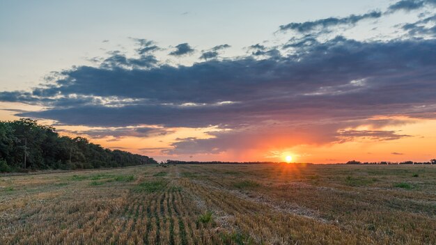 Beau lever de soleil sur le terrain.Soirée d'été à Blagoveshenskaya. Anapa, Russie.