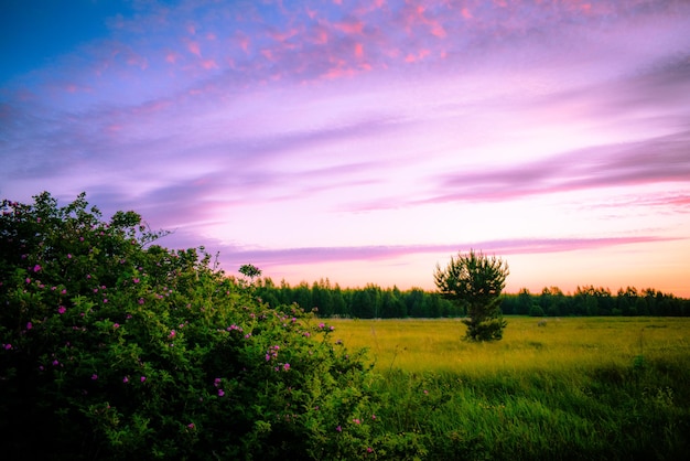 Beau lever de soleil sur le terrain