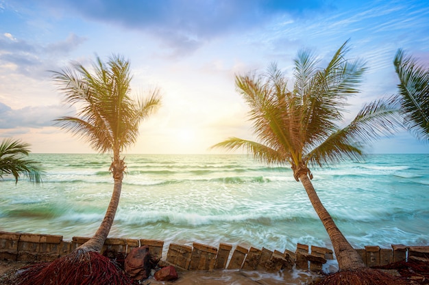 Beau lever de soleil tôt le matin sur un cocotier avec la mer à l’horizon sur la plage de Hat chao lao à Chanthaburi en Thaïlande.