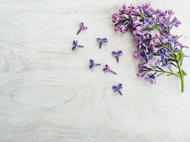 Beau lilas allongé sur une table en bois