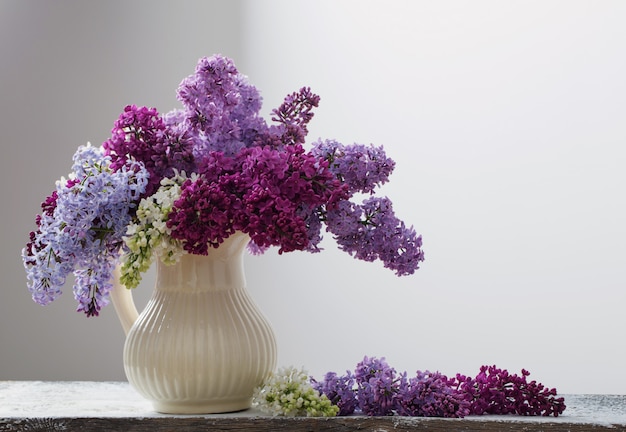 Le beau lilas sur fond blanc