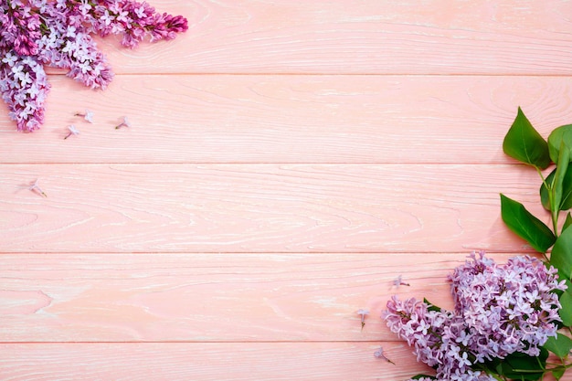 Le beau lilas sur un fond de bois rose copie spase