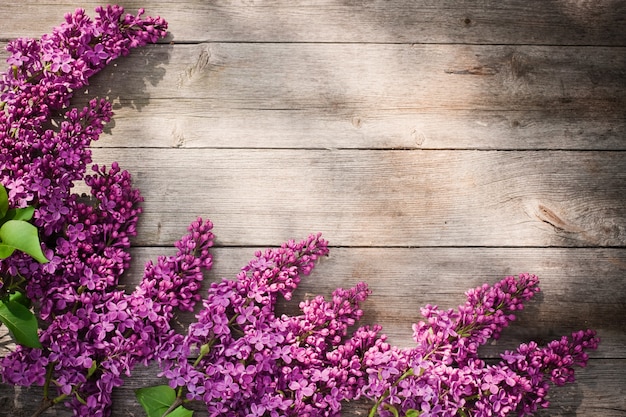 Le beau lilas sur un fond en bois