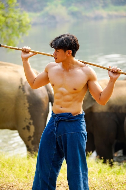 Beau mahout asiatique avec un corps parfait agissant sur le fond du troupeau d'éléphants d'Asie