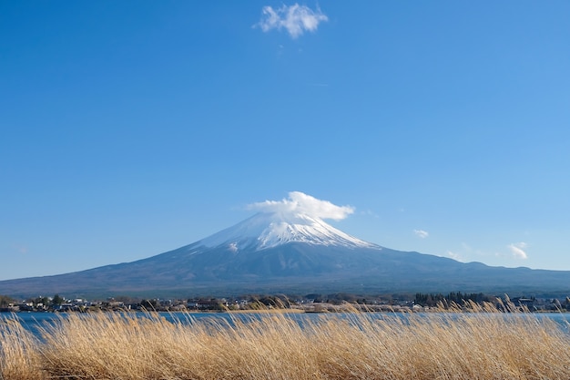 Beau Mont Fuji avec neige enneigée