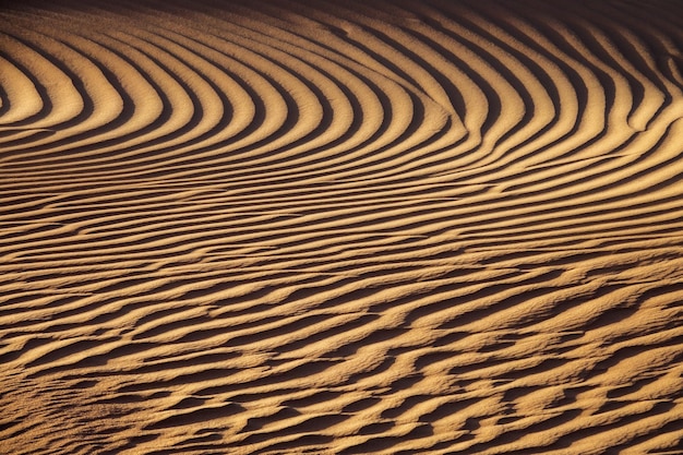 Beau motif de dunes de sable dans le vent