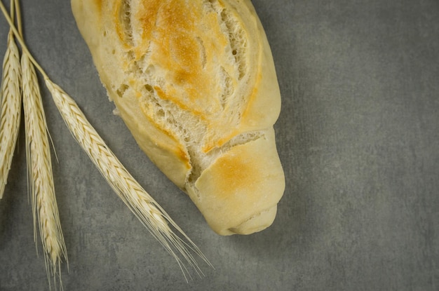 Beau pain au levain sur fond gris avec fleur de blé séchée