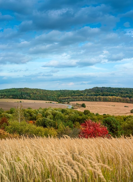 Beau panorama du paysage d'automne et de la route des arbres rouges à travers les champs agricoles vue d'en haut beau ciel