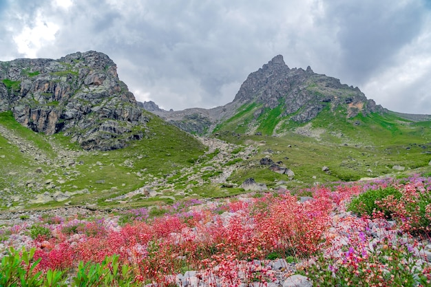 Photo beau panorama de hautes montagnes rocheuses et de prairies verdoyantes