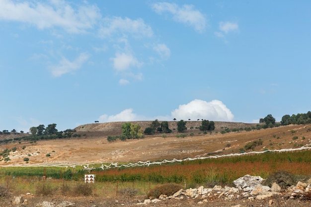 Beau panorama de la nature dans le nord d'Israël