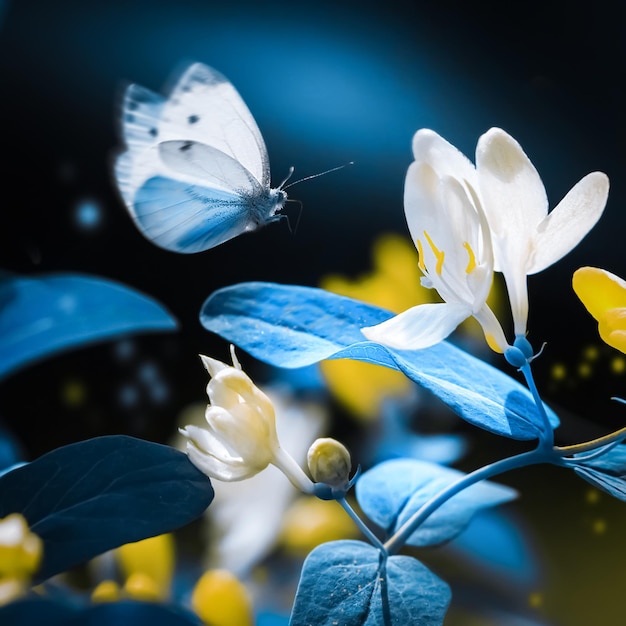 Beau papillon bleu sur fond de fleurs jaunes et de bourgeons dans le jardin Image carrée