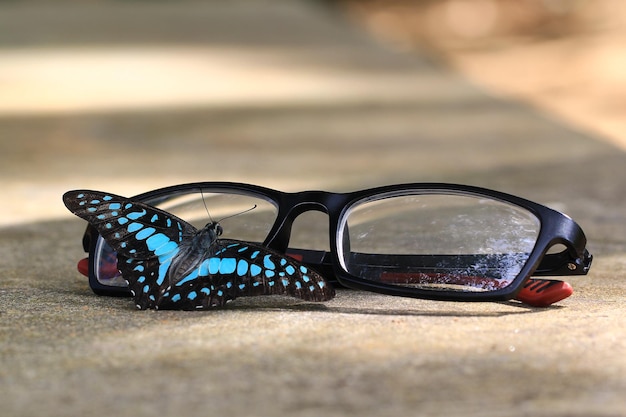 Beau papillon bleu sur les lunettes