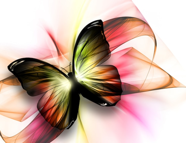 Photo beau papillon élégant sur fond clair