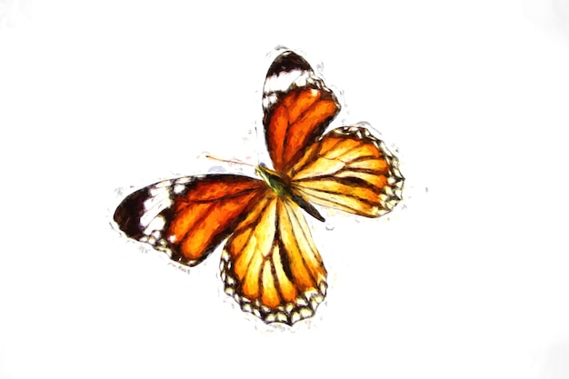 Beau papillon orange volant isolé sur fond blanc