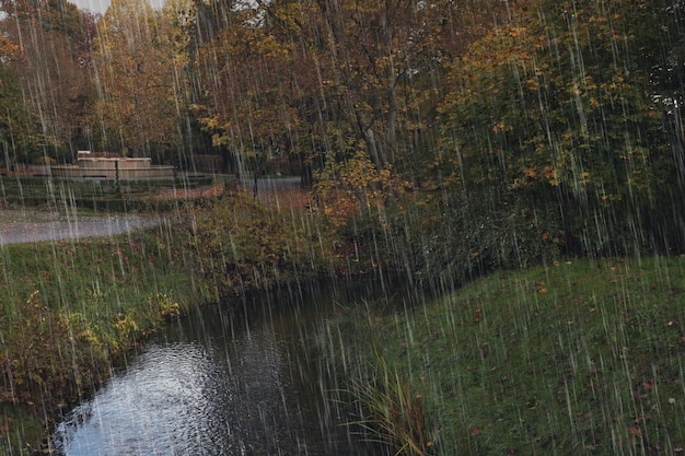 Beau parc avec arbres d'automne et rivière le jour de la pluie