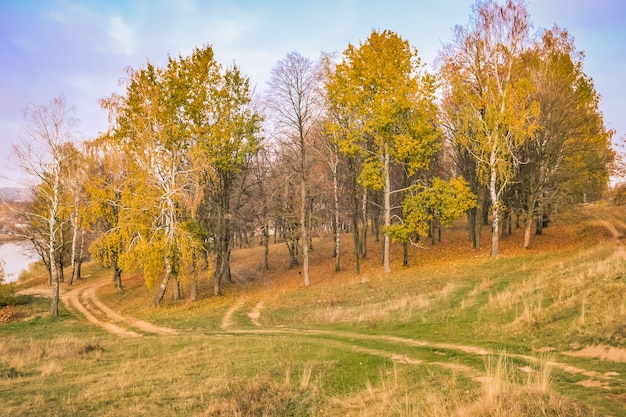 Beau parc d'automne dans le sud de l'Angleterre