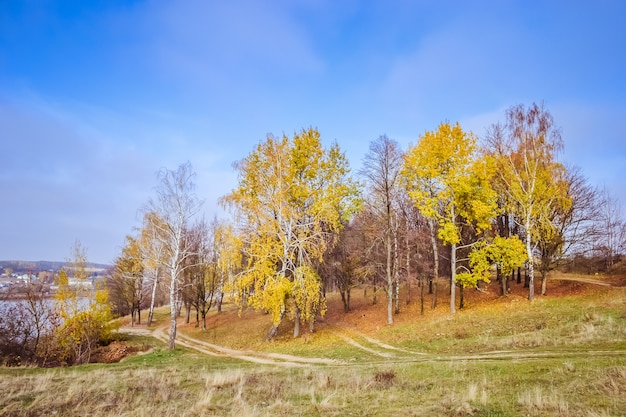 Beau parc d'automne dans le sud de l'Angleterre