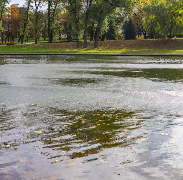 Beau parc d'automne avec un lac et des feuilles jaunes tombées dans l'eau