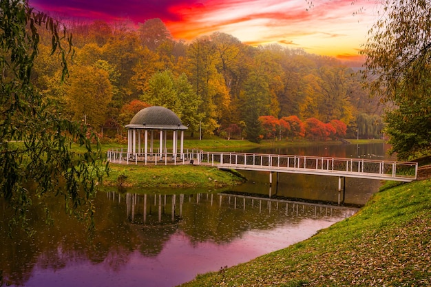 beau parc d'automne par temps de brouillard