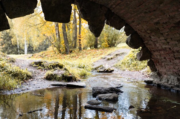 Beau parc d'automne par temps ensoleillé