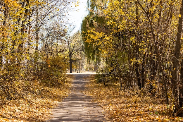 Beau parc d&#39;automne par temps ensoleillé