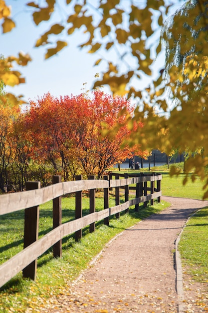 Photo beau parc d'automne.