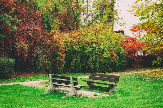 Beau parc d'automne